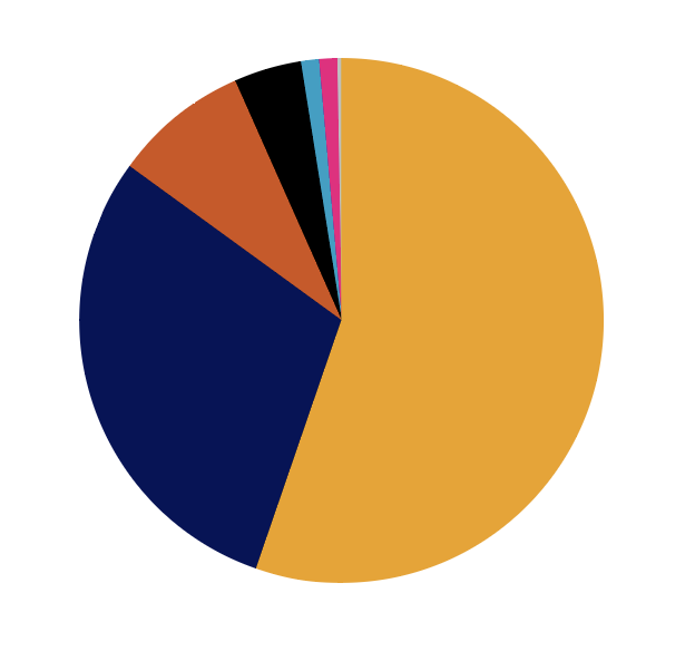 Pie chart showing distribution of sources of Carpentries income