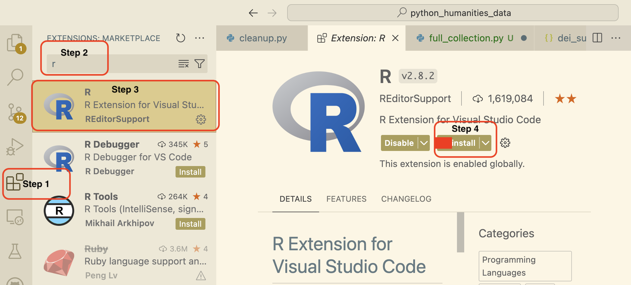 Install R Extension